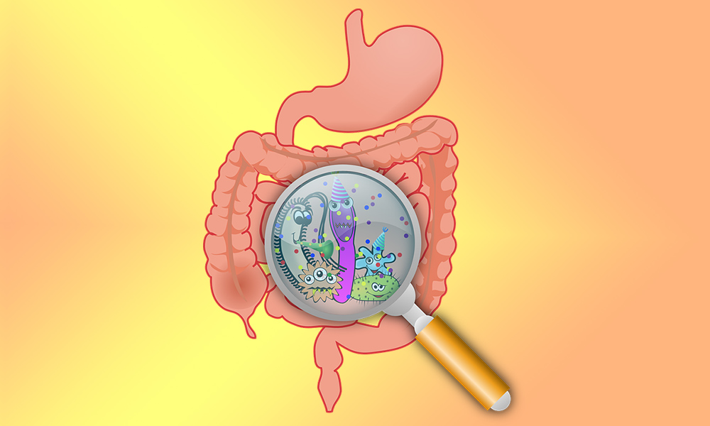 Microbioma: la flora batterica di cui dobbiamo prenderci cura